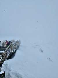 麗江 玉龍雪山 入住金茂璞修雪山酒店