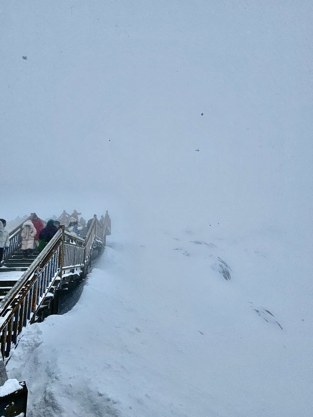 麗江 玉龍雪山 入住金茂璞修雪山酒店