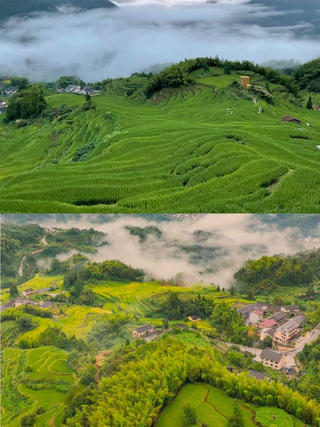 浙南秘境，山水詩畫裡的隱世江南