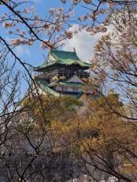 🌸2025大阪城公園賞櫻攻略｜錯過等一年！