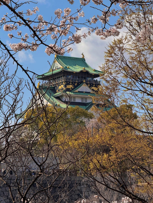 🌸2025大阪城公園賞櫻攻略｜錯過等一年！