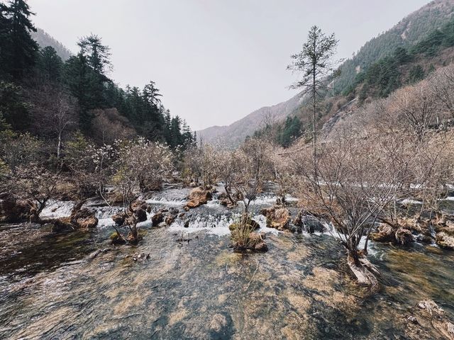 四月九寨溝風景區旅遊攻略