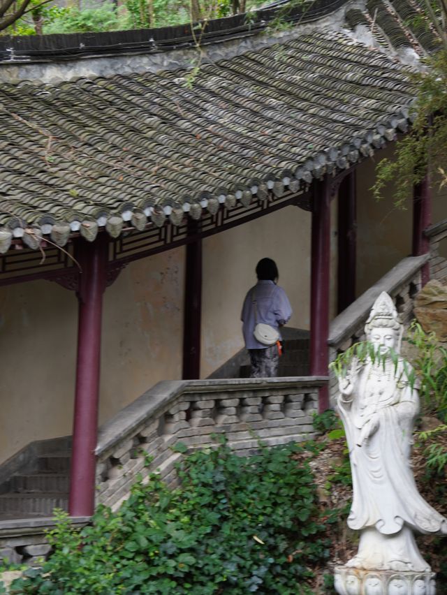 這才是江南最被低估的打開方式——鎮江