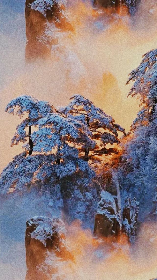 黃山：一場鐫刻在靈魂深處的綺夢之旅