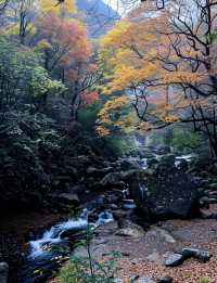 探秘十八月潭：川東北的秘境仙境