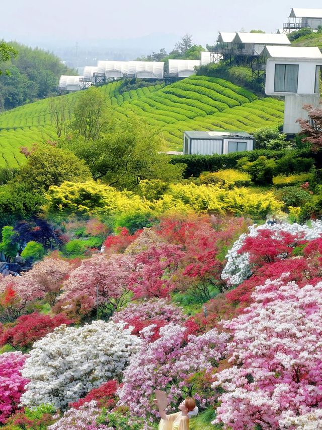 五一反向旅行｜闖入莫奈花園級花仙谷附保姆級攻略