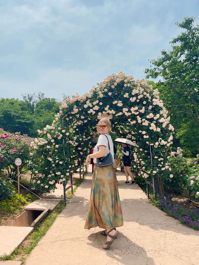 Try not to drown in the “Sea of Flowers” 🌺 in Chengdu!