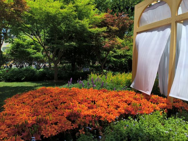 魔都CITYWALK｜花開新天地上海國際花展