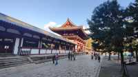 奈良東大寺，千年古剎的寂靜詩篇