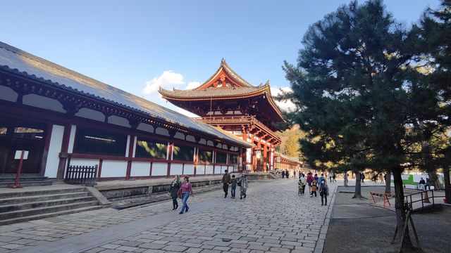 奈良東大寺，千年古剎的寂靜詩篇