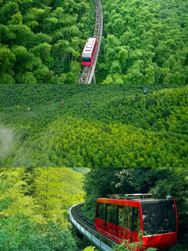 啱啱喺桐廬返嚟，講啲大實話！保姆級旅遊攻略