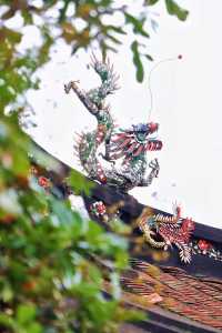 終於搵到屬於我嘅桃花源，你尋到未？