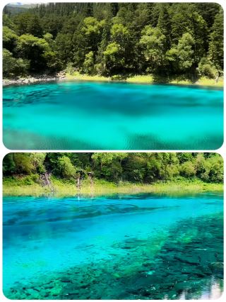 Just returned from Jiuzhaigou, honestly don't recommend visiting in May-June