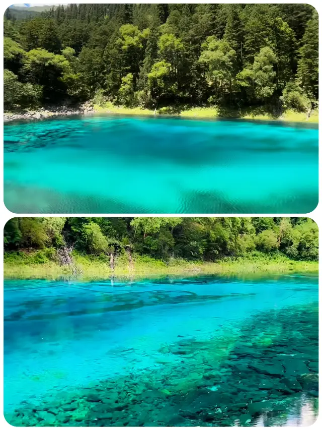 Just returned from Jiuzhaigou, honestly don't recommend visiting in May-June
