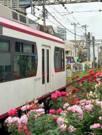 東京都電荒川線交通攻略｜搭復古電車漫遊懷舊東京