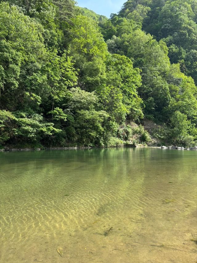 西安1小時綠光森林翡翠潭