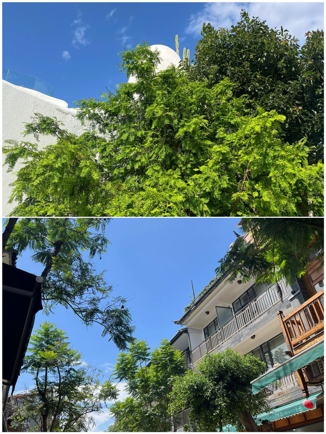 第一次去大理，直接複製呢條路線