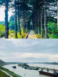平陸街頭呢個紅色招牌背後，藏住比電視劇更狗血嘅故事