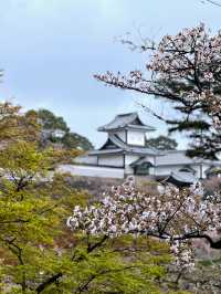 別只識富士山！日本富山先係寶藏地