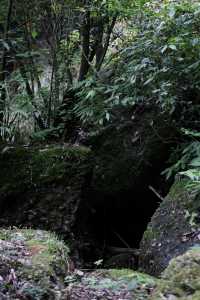 香積寺探幽 | 合谷山居專屬行山體驗