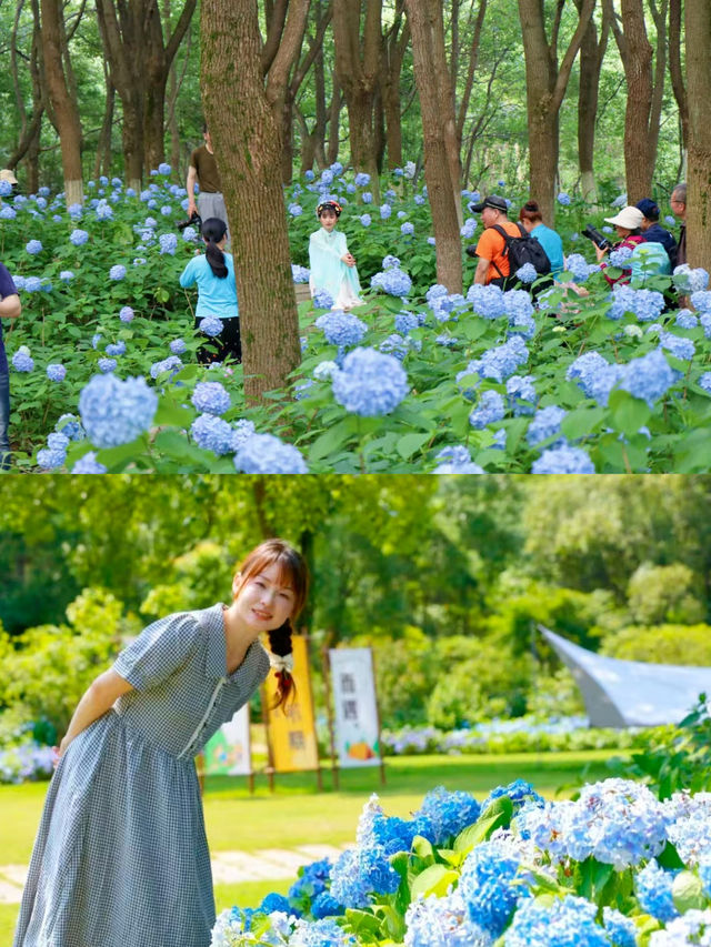南昌鳳凰溝夏季「追花」全攻略！