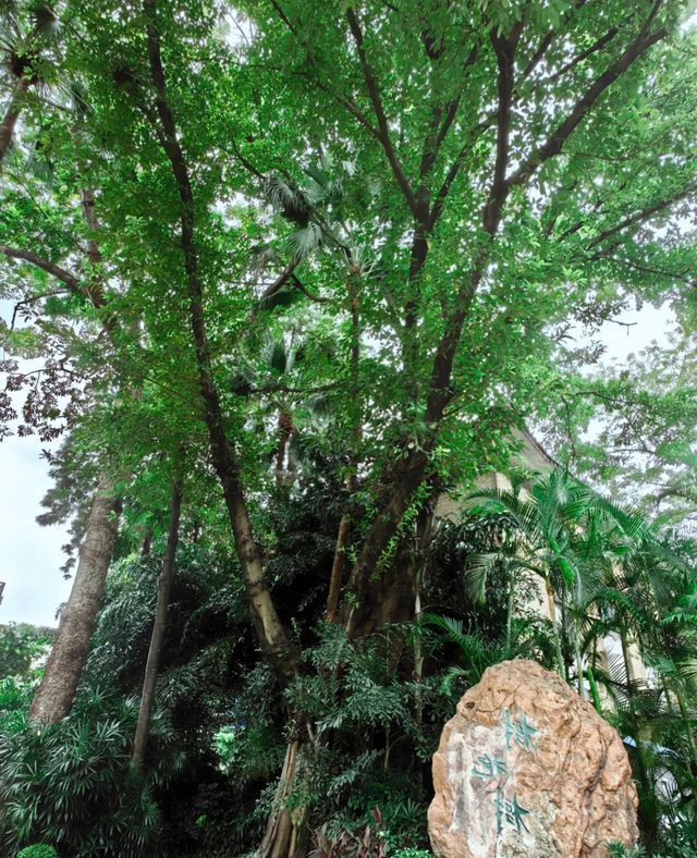 廣州中山之旅：歷史與風景嘅奇妙邂逅