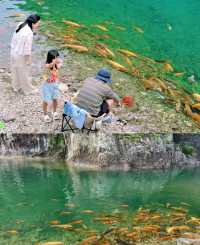 躺睇神仙居明星同款民宿