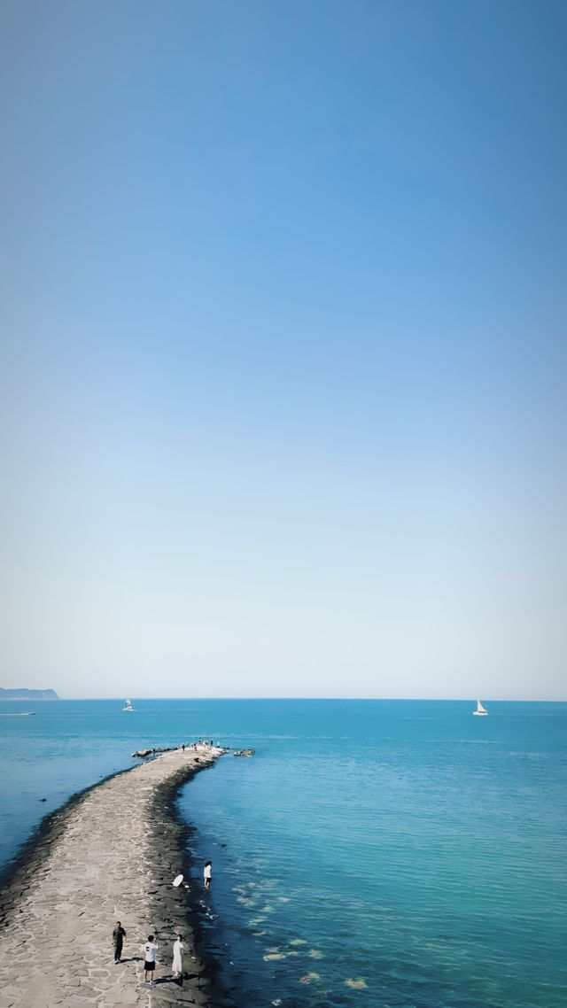 青島｜青島🩷