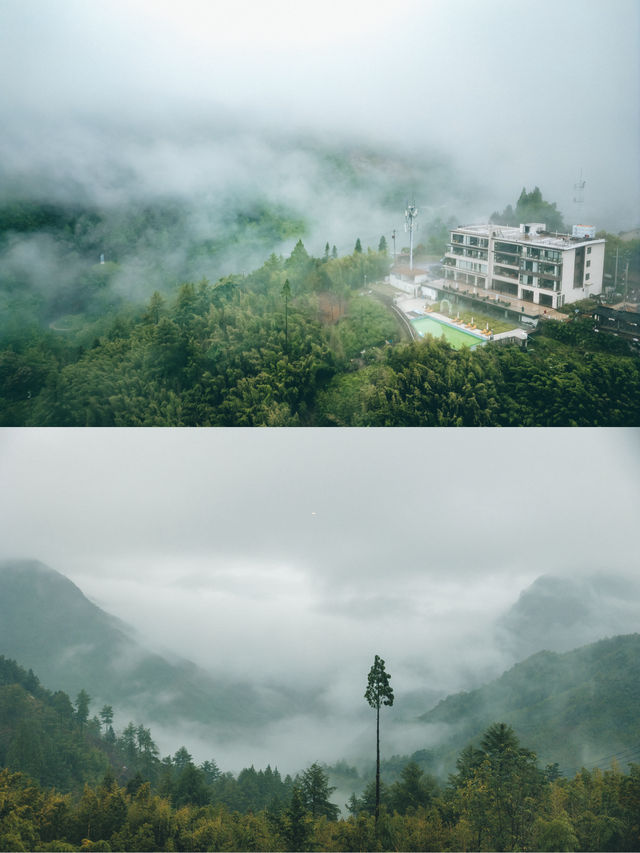 當我住進安吉嘅雲霧之巔~目之所及皆係景色