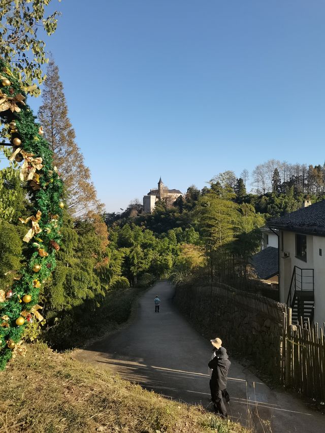 上海一日往返莫干山徒步～～打卡天然氧吧