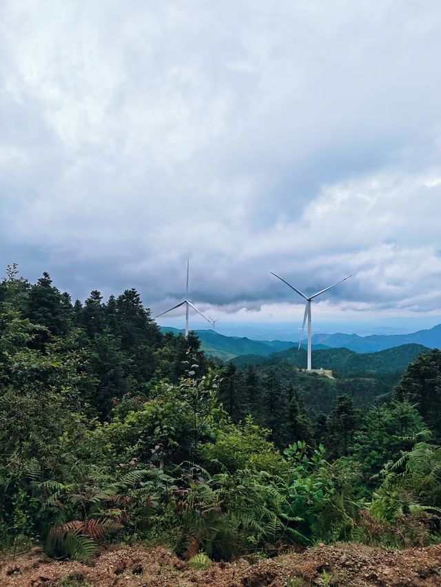 峽谷酒店：暑假帶娃玩轉大草原，就住呢度！