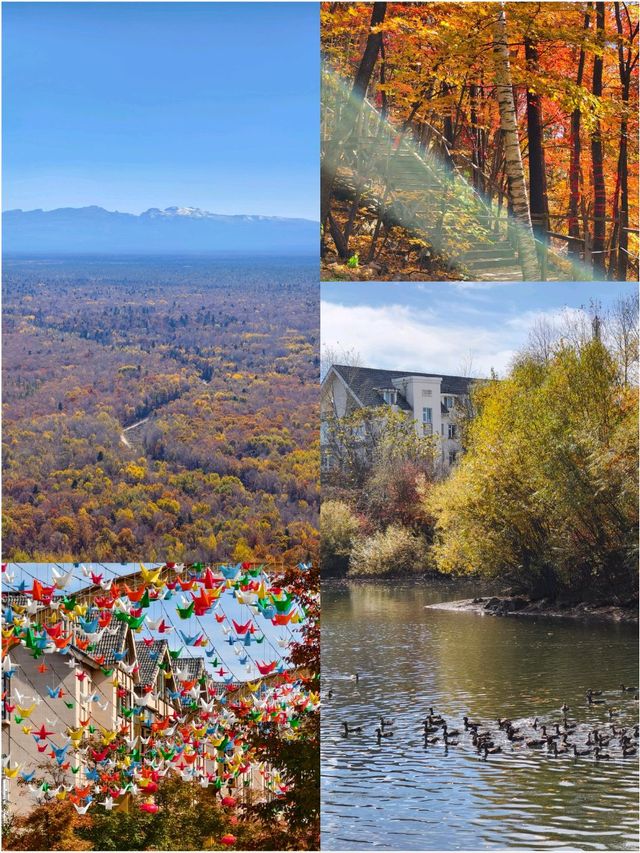Erdaobaihe - The Enchanting Gateway to Changbai Mountain