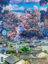 喺保山用300蚊住進野溫泉酒店，第二朝瞓醒…