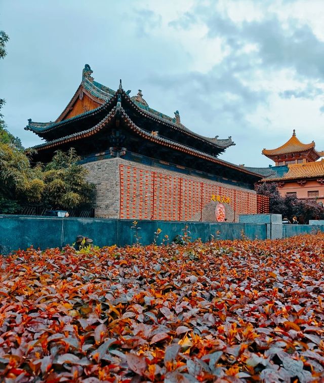 歡迎來到美麗的秦州，這裡擁有豐富的歷史文化與自然風光。以下是一份詳細的秦州旅遊攻略：