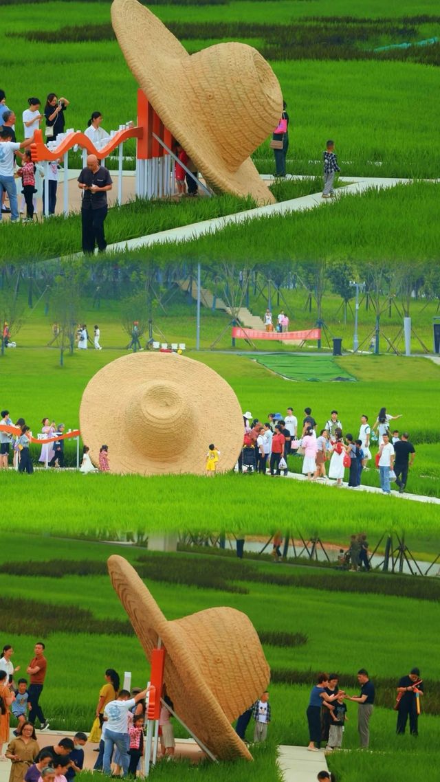 救命！長沙親子遊畀我搵到寶藏啦