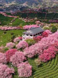 暑假福建龍巖8大網紅必打卡景點及深度攻略