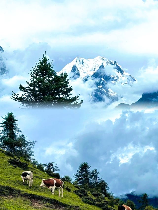 【龍華山超全旅遊攻略】——登雲海、賞奇峰，解鎖仙氣之