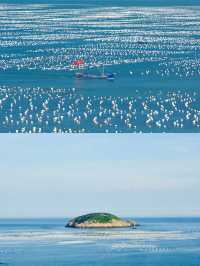 枸杞島好識玩！上海周邊避暑，夏日玩水超開心