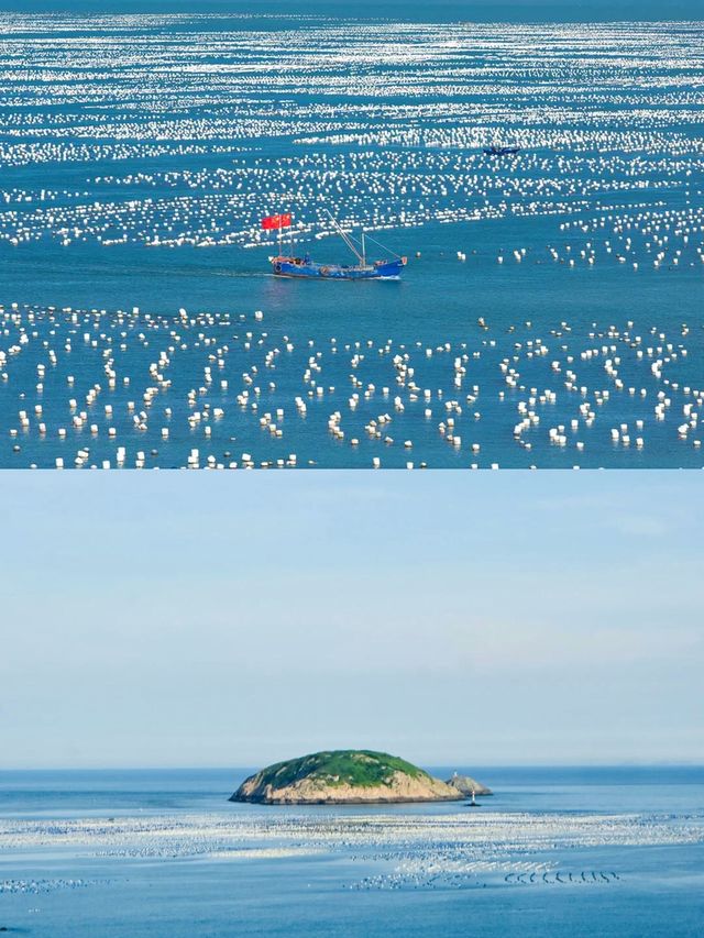 枸杞島好識玩！上海周邊避暑，夏日玩水超開心