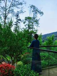 自然之居，山野之趣 | 青城後山避暑兼摘水果