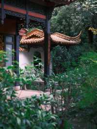 富士直出-闖入廣州蘭圃-靜謐園林美學