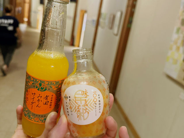 打卡東京日歸溫泉♨️——秋川溪谷瀨音之湯 
