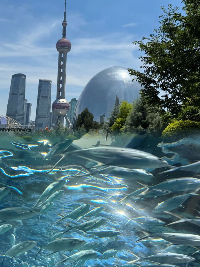 魔都的魔幻與現實