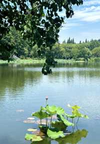 「太湖佳絕處，畢竟在黿頭」