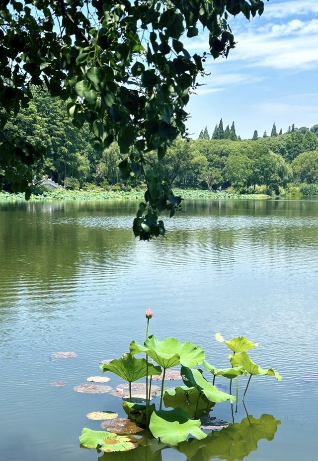 「太湖佳絕處，畢竟在黿頭」