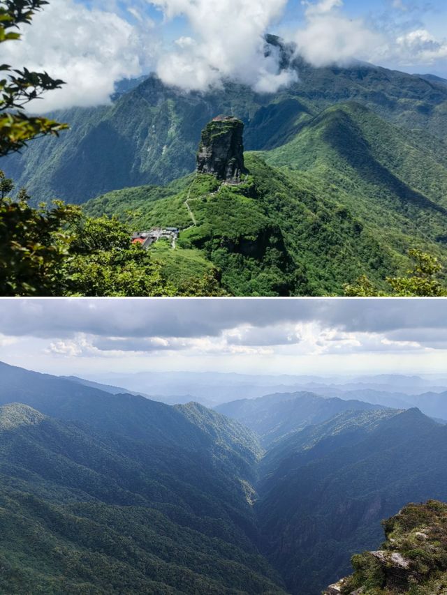 低能量星人衝！梵淨山遊完滿血復活
