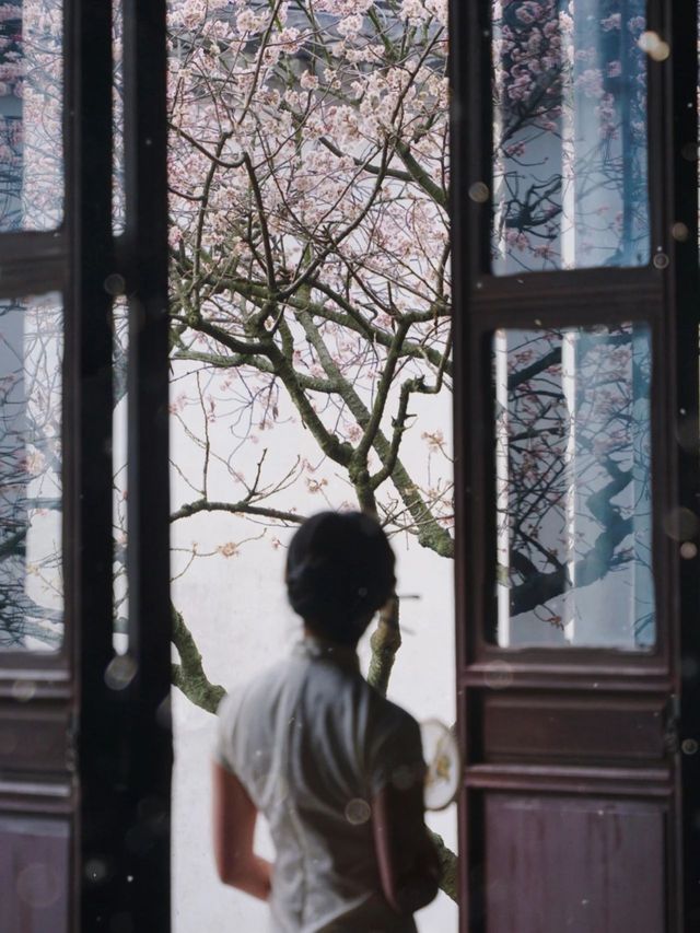 煙雨樓，泛輕舟，七月的姑蘇