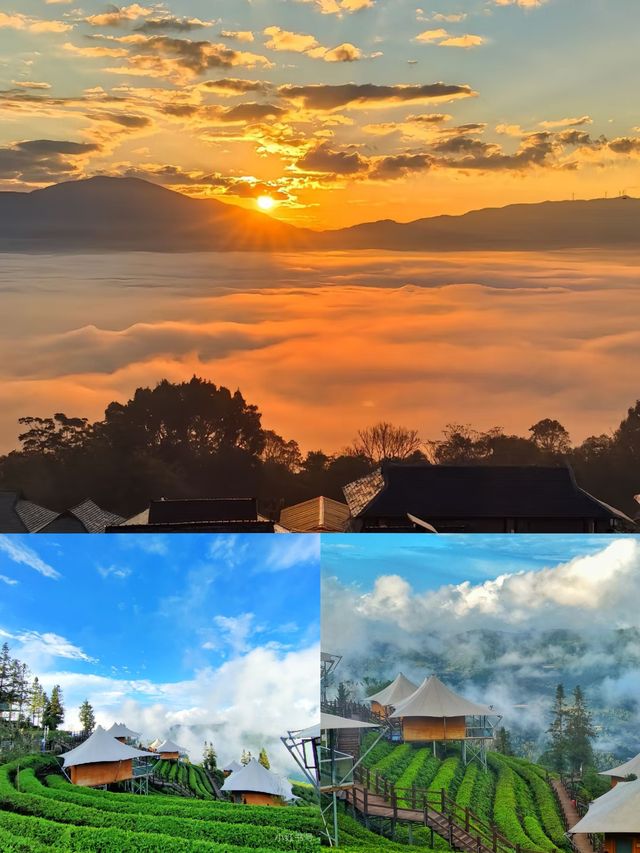 雲南普洱超全攻略｜喺22℃嘅夏天，赴一場咖啡與雨林嘅約會