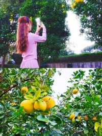 蘇州太湖裸新隱鄉，親子夏日玩水嘅超正之選