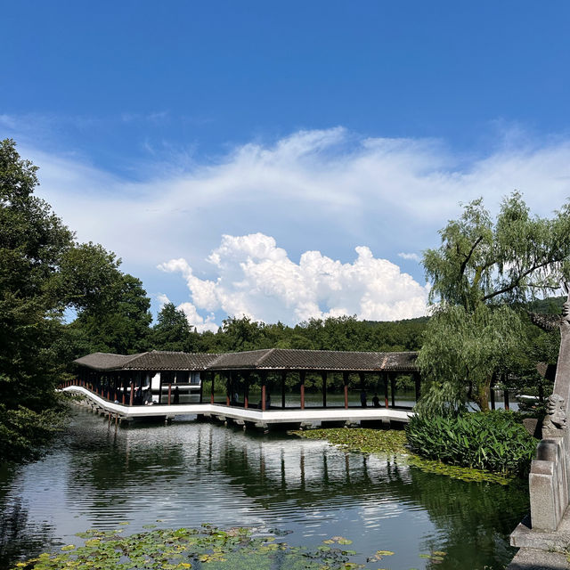 浴鵠灣的夏天，綠到不需要濾鏡
